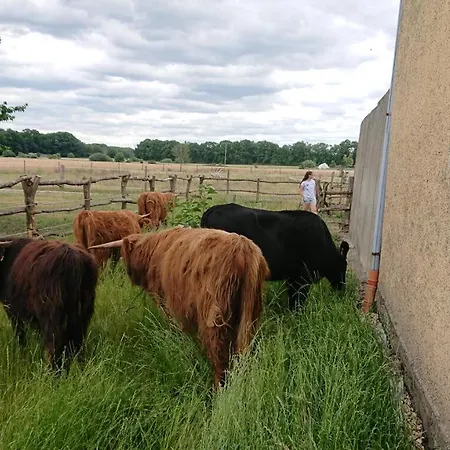 Urlaub Auf Dem Bauernhof,landurlaub,ferienwohnung * Granze